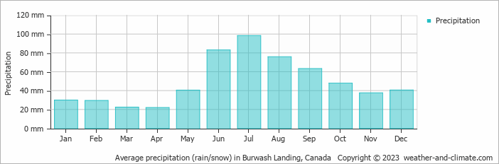 Average monthly rainfall, snow, precipitation in Burwash Landing, Canada