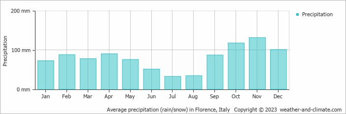 Average precipitation (rain/snow) in Florence, Italy   Copyright © 2009 www.weather-and-climate.com  