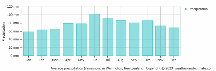 Average monthly rainfall, snow, precipitation in Wellington, New Zealand