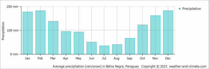 Average precipitation (rain/snow) in Bahia Negra, Paraguay   Copyright © 2013 www.weather-and-climate.com  